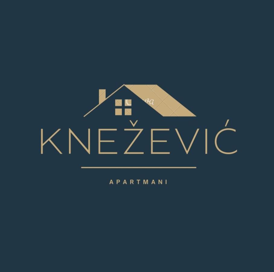 Knezevic Apartman Podgorica Eksteriør bilde